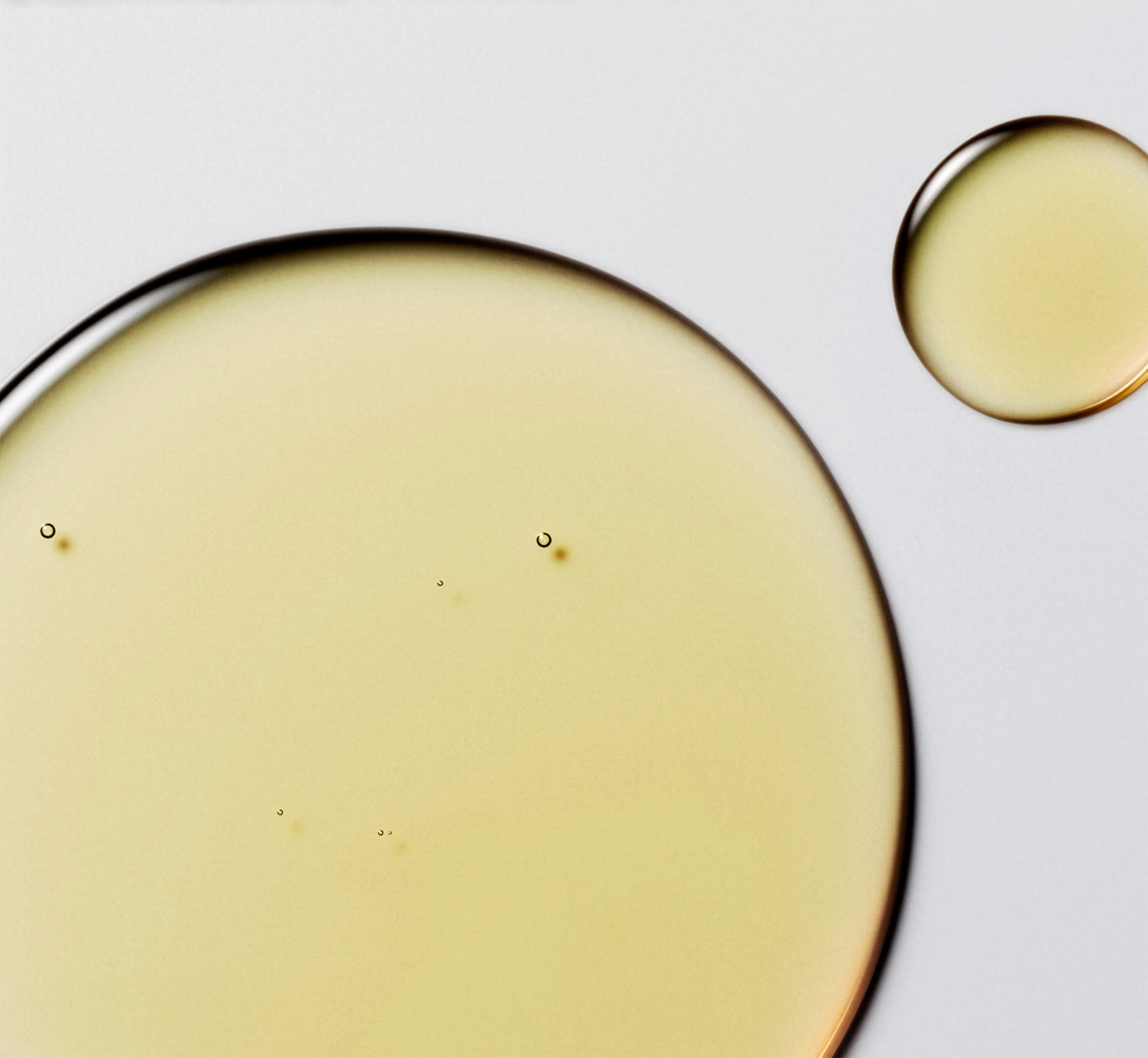 Body Oil - Image 12